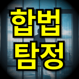 합법탐정